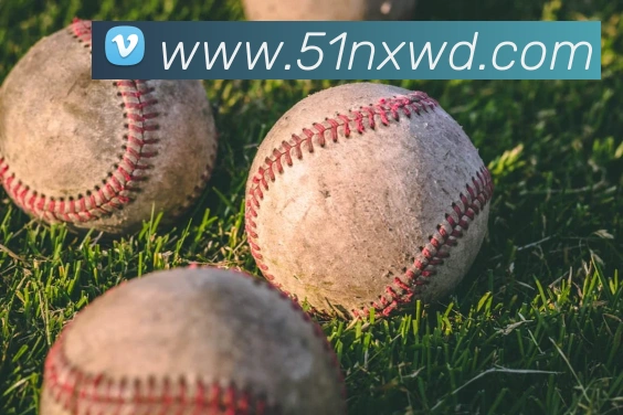 问鼎娱乐APP 封面图